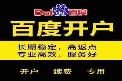 搜索引擎营销（SEM）广告投放的技巧与经典案例